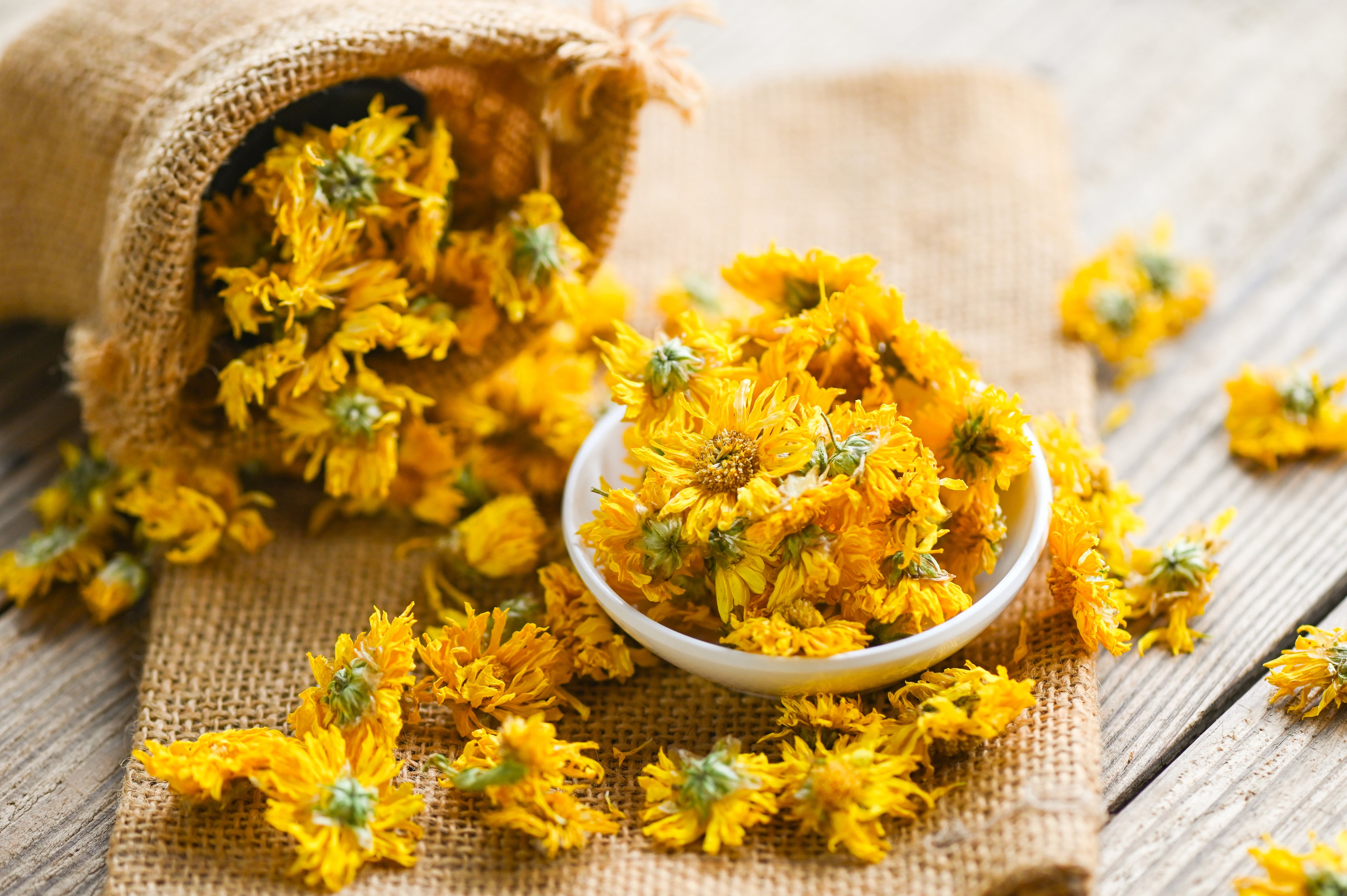 Chrysant & Kumquat Thee